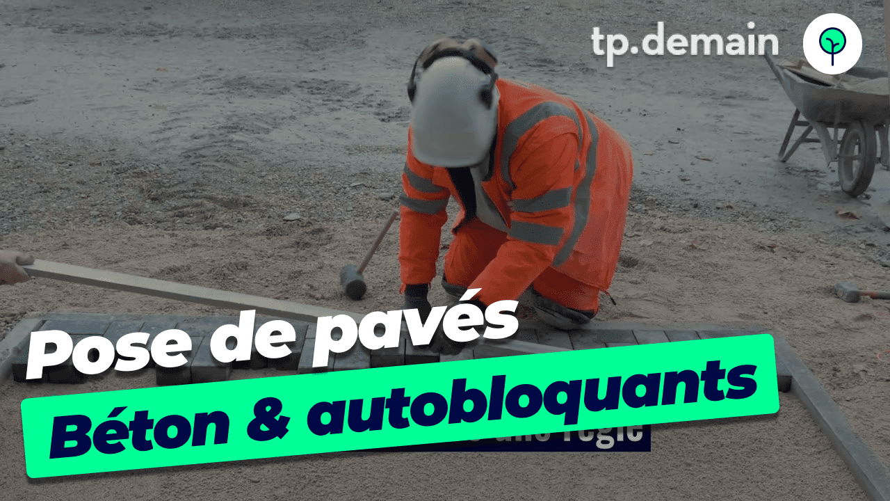 Guide complet pour la pose de pavés béton, préparation du terrain, et techniques de pavage pour un résultat professionnel.