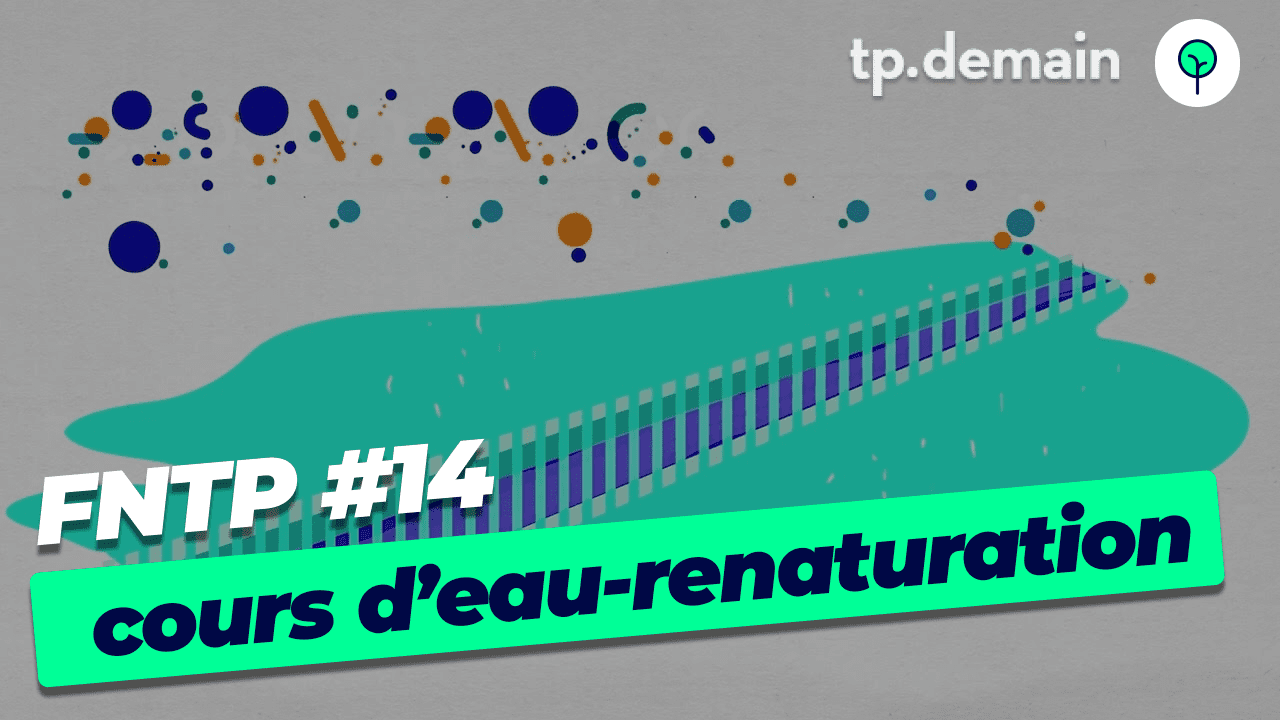 Infographie démontrant les techniques de renaturation des cours d'eau par les travaux publics pour restaurer la biodiversité."