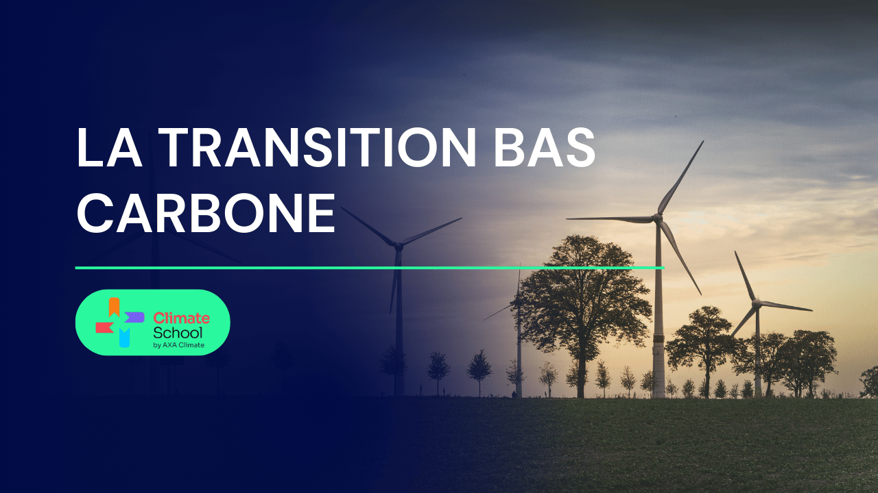 La transition bas carbone - tp.demain