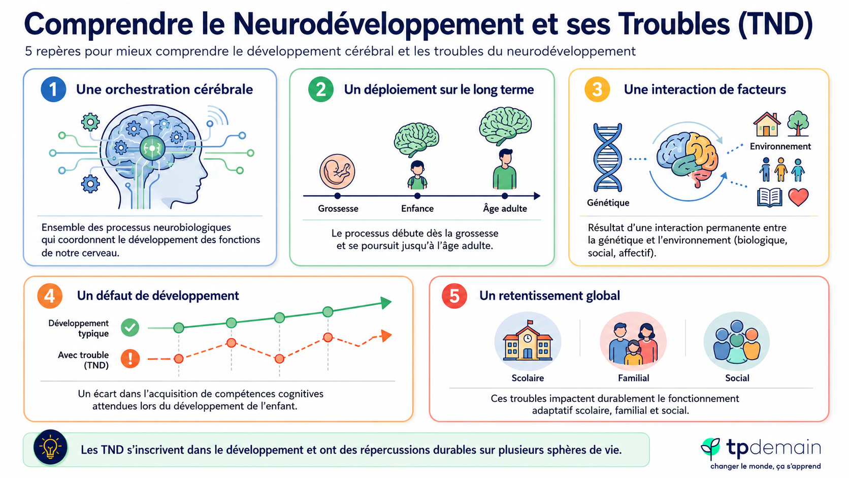 Infographie intitulée « Comprendre le Neurodéveloppement et ses Troubles ». Elle présente cinq repères : le neurodéveloppement comme une orchestration cérébrale, son déploiement de la grossesse à l’âge adulte, l’interaction entre facteurs génétiques et environnementaux, l’écart possible entre développement typique et trouble du neurodéveloppement, et le retentissement global sur les sphères scolaire, familiale et sociale. Un encadré rappelle que les TND s’inscrivent dans le développement et peuvent avoir des répercussions durables sur plusieurs sphères de vie.